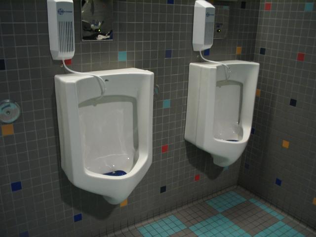 The Urinals Of Chapters Bookstore