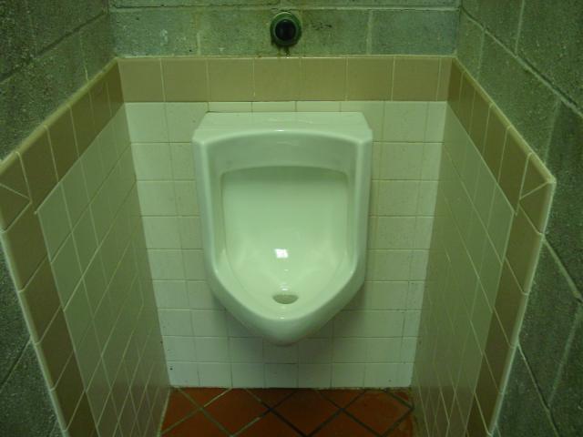 The Urinals Of Glen Oak Park